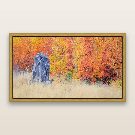 Nature's Circle, Mackenzie Country — framed metallic canvas print, Antique Gold frame. New Zealand fine art landscape wall art by Stephen Milner.