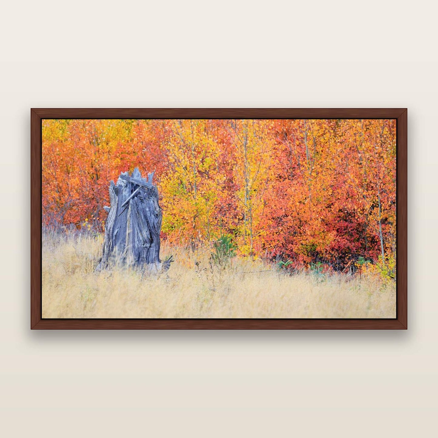 Nature's Circle, Mackenzie Country — framed metallic canvas print, Brown frame. New Zealand fine art landscape wall art by Stephen Milner.