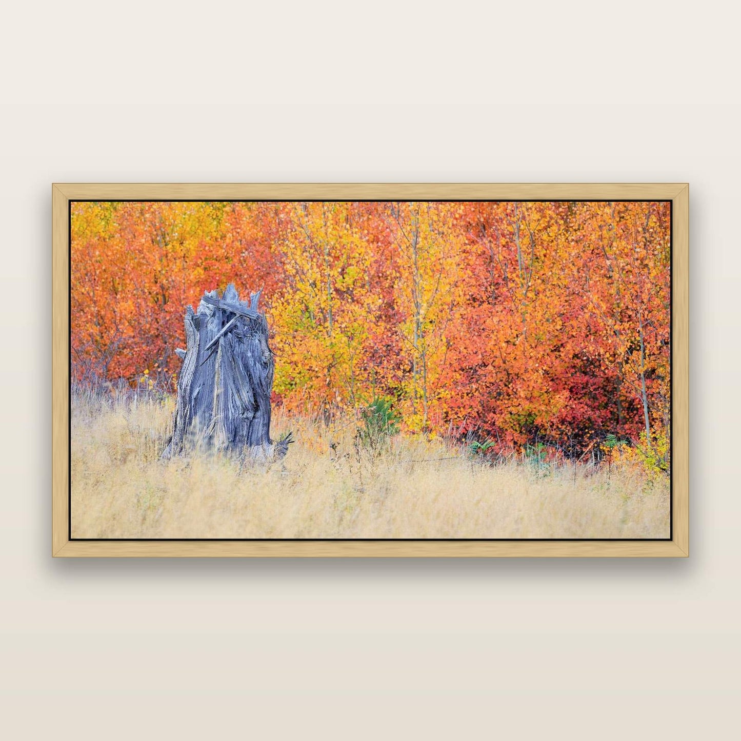 Nature's Circle, Mackenzie Country — framed metallic canvas print, Natural frame. New Zealand fine art landscape wall art by Stephen Milner.
