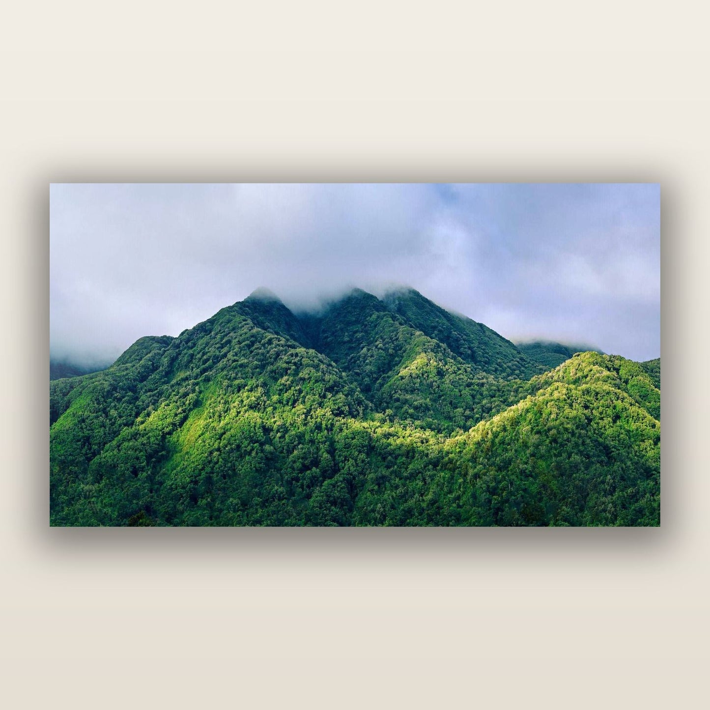 Nature's Embrace, Haast pass — frameless acrylic glass print. New Zealand fine art landscape photography by Stephen Milner.