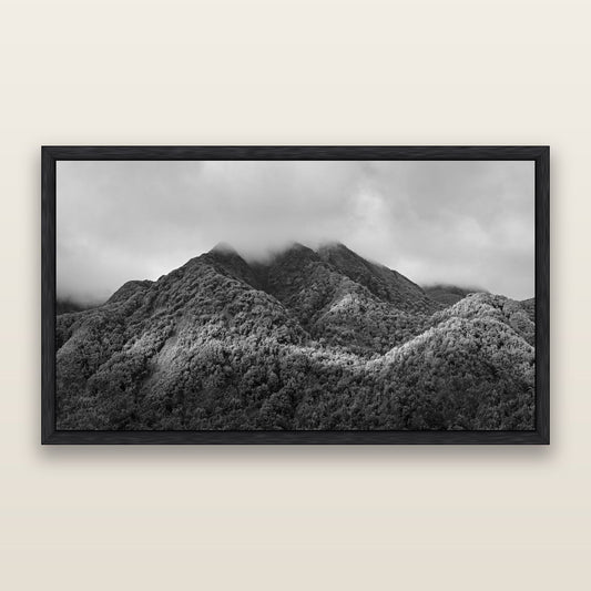 Nature's Embrace, Haast pass, black and white framed metallic canvas print, Black frame. New Zealand fine art wall art by Stephen Milner.