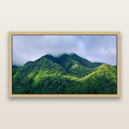 Nature's Embrace, Haast pass — framed metallic canvas print, Natural frame. New Zealand fine art landscape wall art by Stephen Milner.