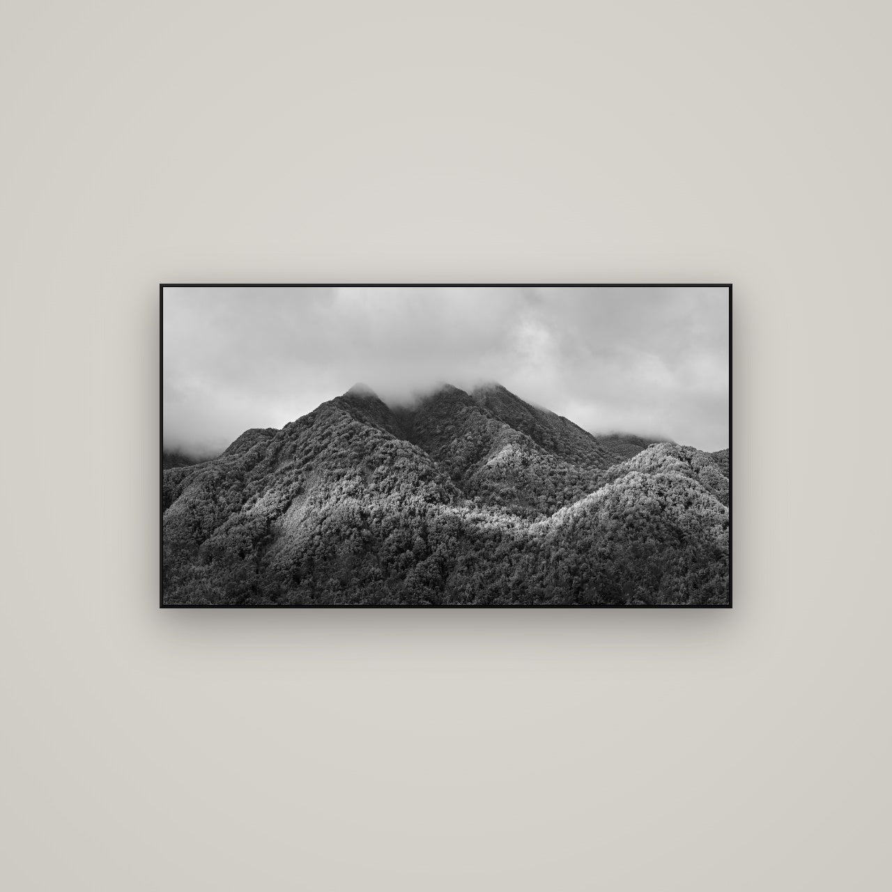 Nature's Embrace, Haast pass — ArtBox Black, 107×60 cm. New Zealand fine art wall art by Stephen Milner.