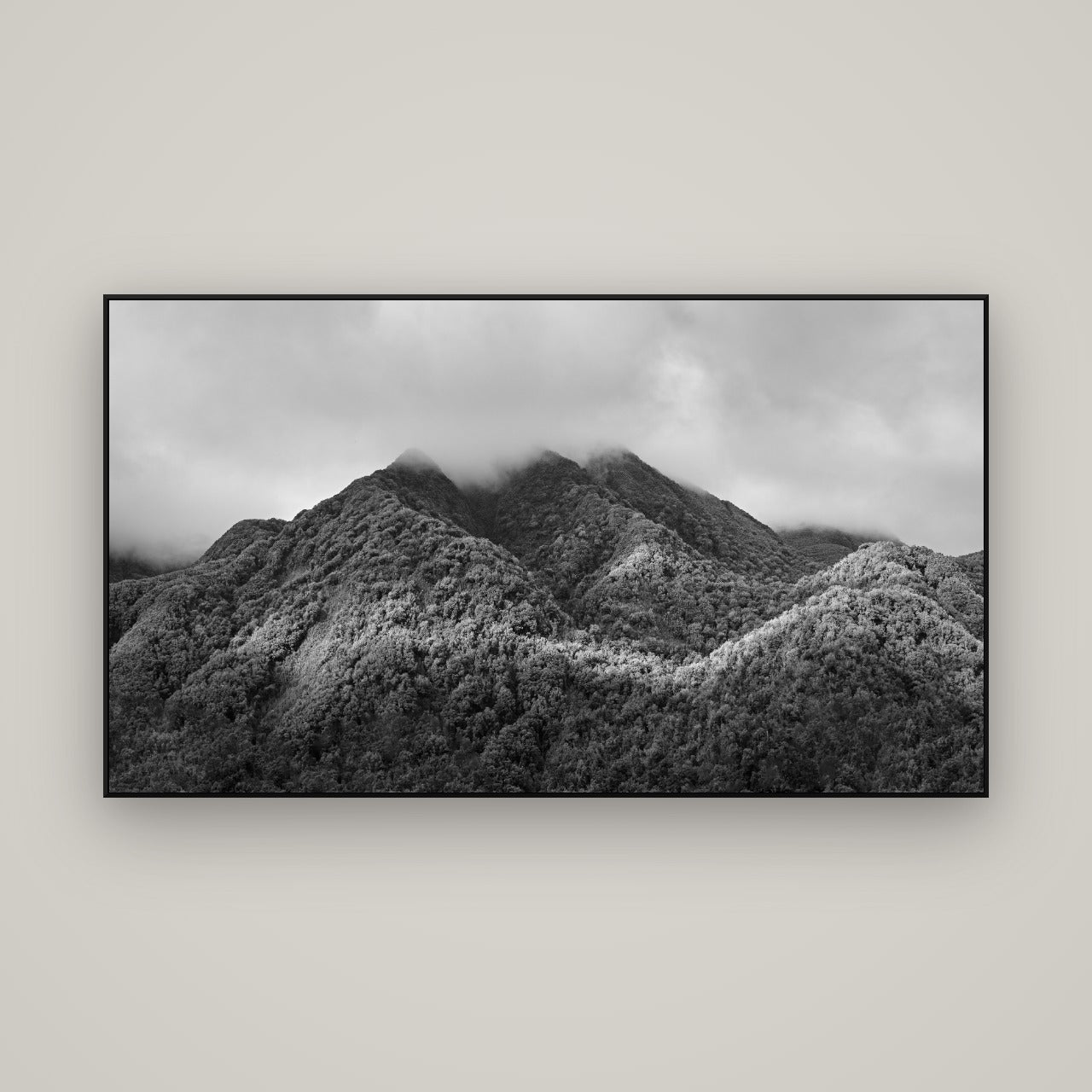 Nature's Embrace, Haast pass — ArtBox Black, 160×90 cm. New Zealand fine art wall art by Stephen Milner.