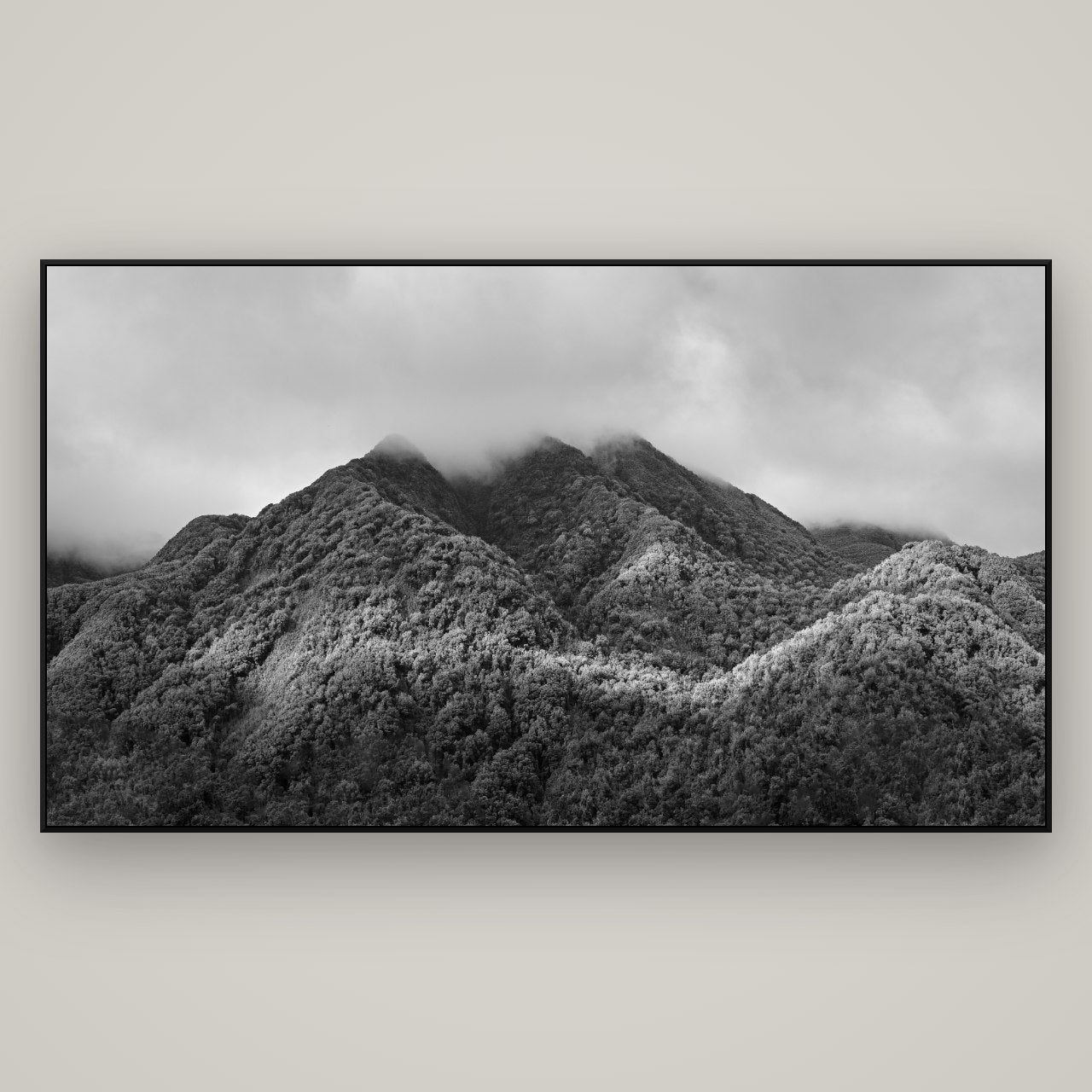 Nature's Embrace, Haast pass — ArtBox Black, 196×110 cm. New Zealand fine art wall art by Stephen Milner.