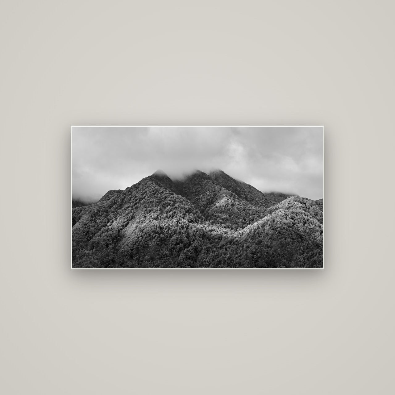 Nature's Embrace, Haast pass — ArtBox White, 107×60 cm. New Zealand fine art wall art by Stephen Milner.