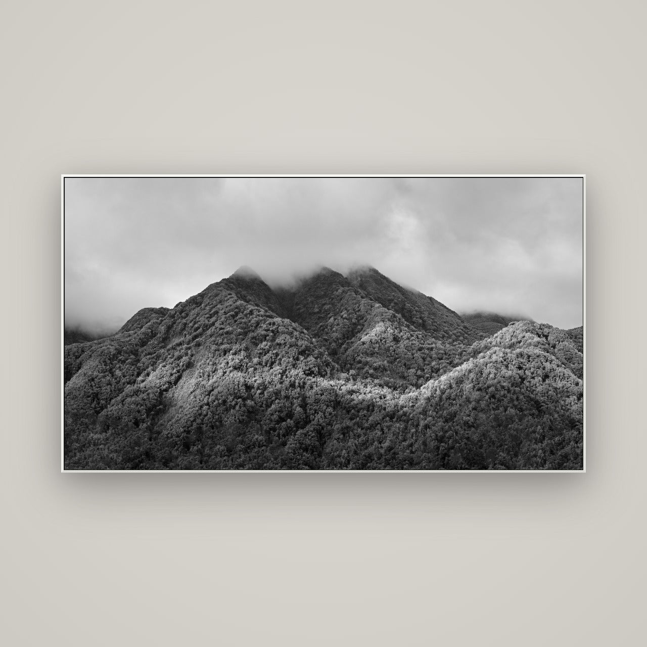 Nature's Embrace, Haast pass — ArtBox White, 160×90 cm. New Zealand fine art wall art by Stephen Milner.