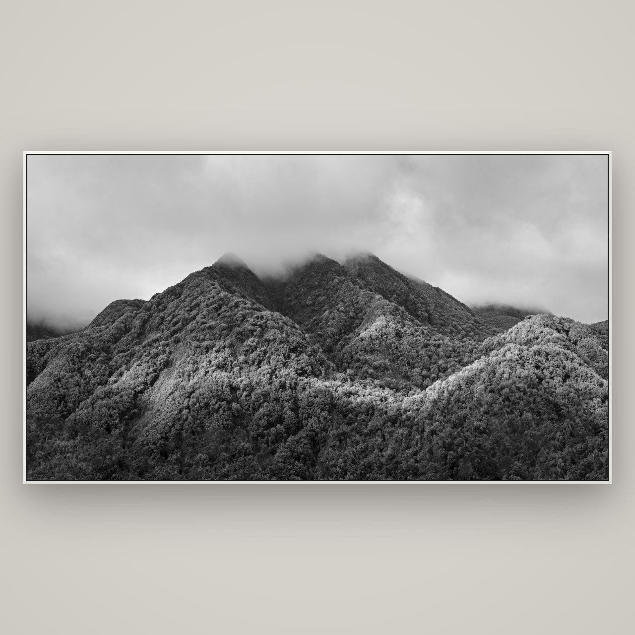 Nature's Embrace, Haast pass — ArtBox White, 196×110 cm. New Zealand fine art wall art by Stephen Milner.