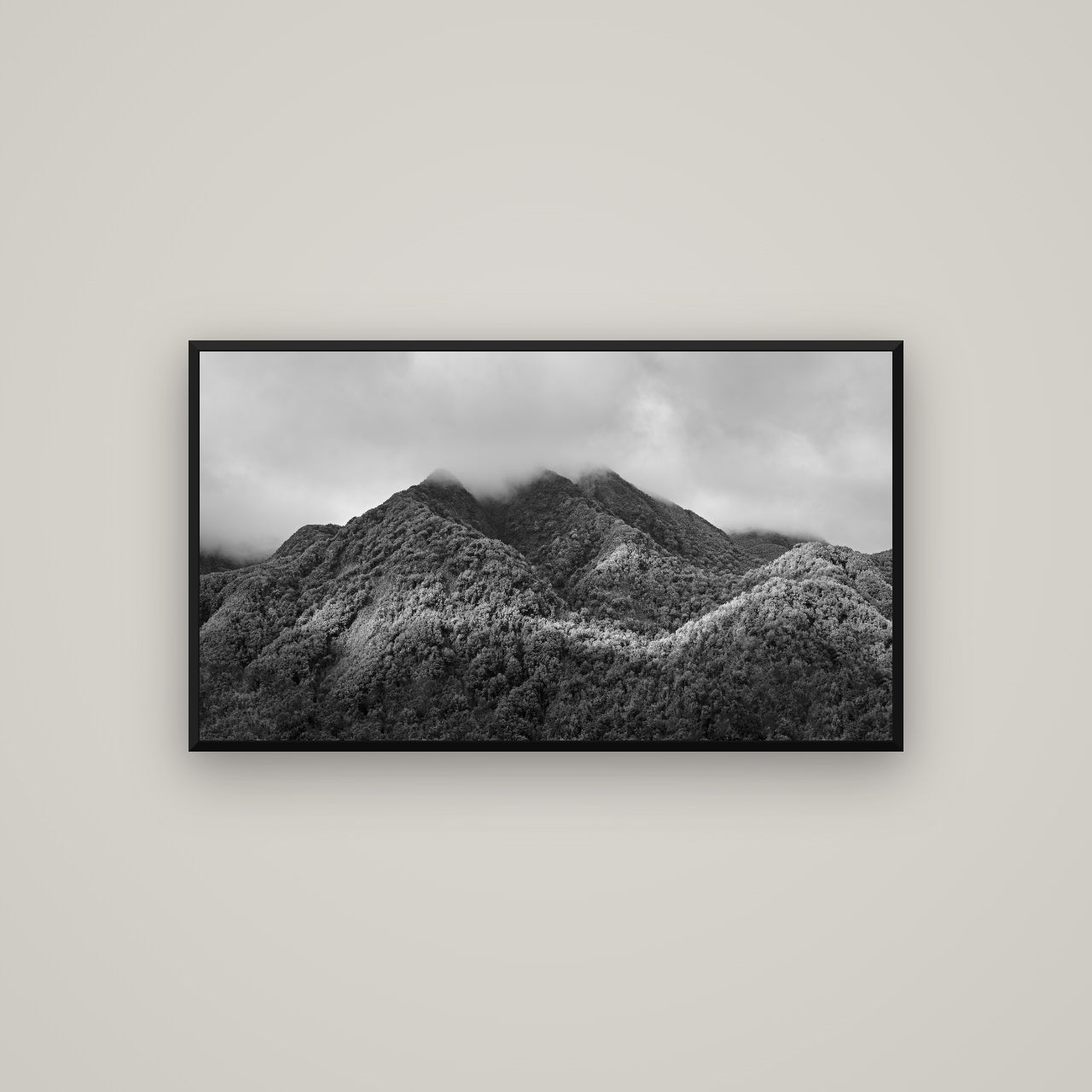 Nature's Embrace, Haast pass — Basel Black, 107×60 cm. New Zealand fine art wall art by Stephen Milner.