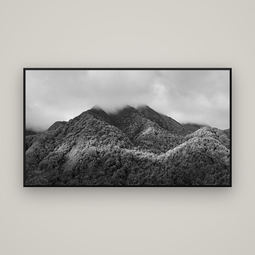 Nature's Embrace, Haast pass — Basel Black Matte, 160×90 cm. New Zealand fine art wall art by Stephen Milner.