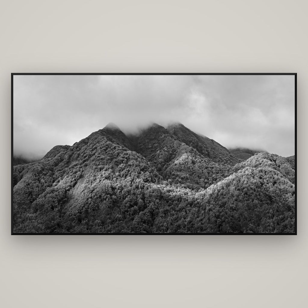 Nature's Embrace, Haast pass — Basel Black Matte, 196×110 cm. New Zealand fine art wall art by Stephen Milner.