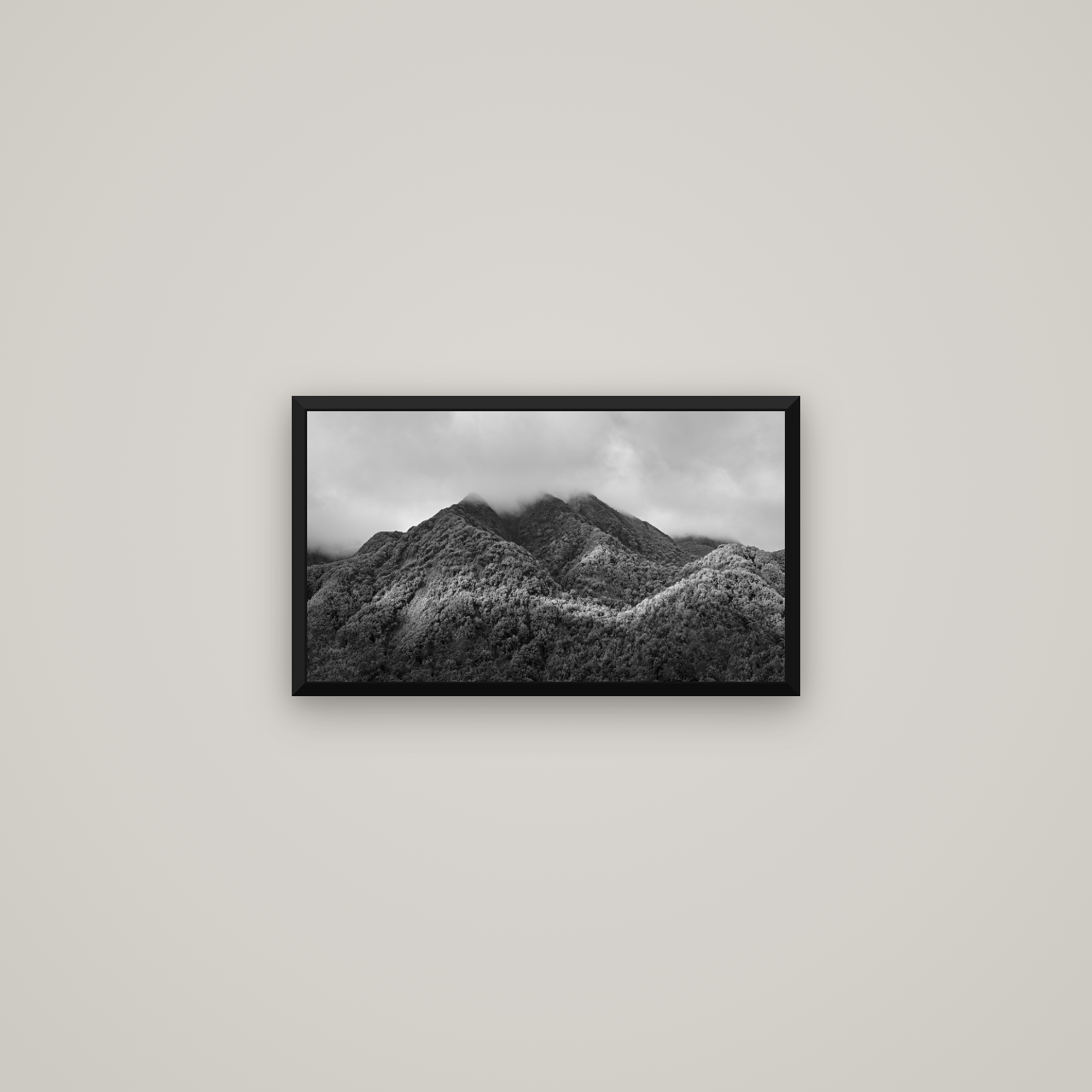 Nature's Embrace, Haast pass — Basel Black Matte, 53×30 cm. New Zealand fine art wall art by Stephen Milner.