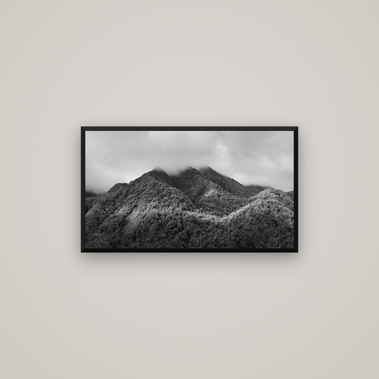 Nature's Embrace, Haast pass — Basel Black Matte, 80×45 cm. New Zealand fine art wall art by Stephen Milner.