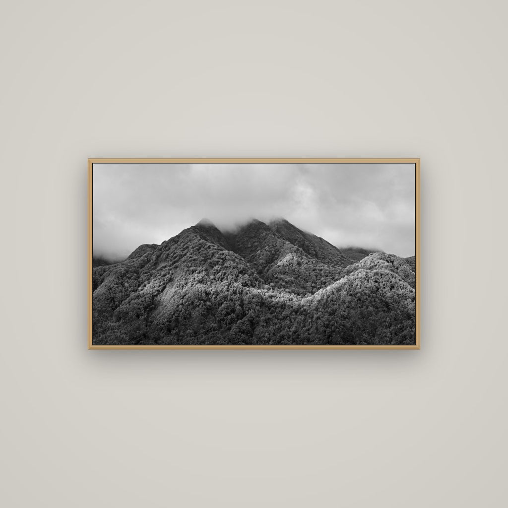 Nature's Embrace, Haast pass, Basel Natural Oak, 107×60 cm. New Zealand fine art wall art by Stephen Milner.