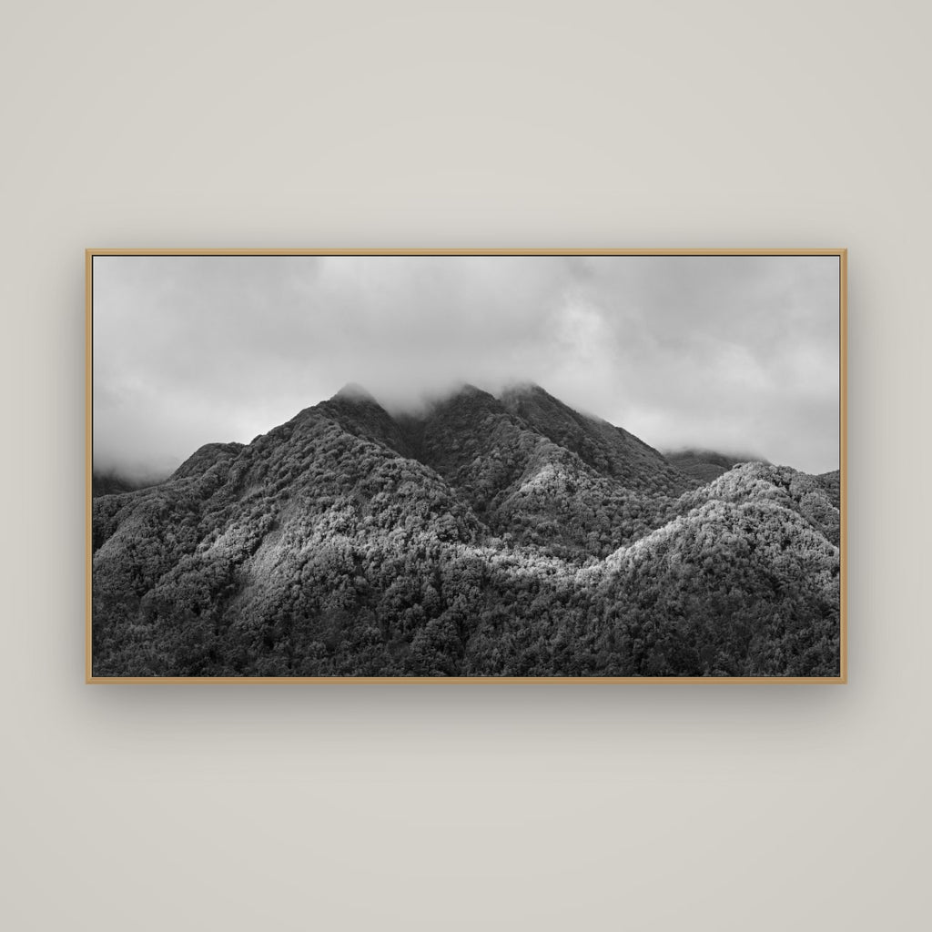 Nature's Embrace, Haast pass, Basel Natural Oak, 160×90 cm. New Zealand fine art wall art by Stephen Milner.