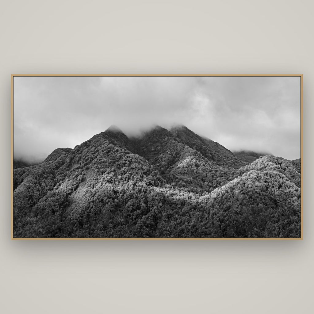 Nature's Embrace, Haast pass, Basel Natural Oak, 196×110 cm. New Zealand fine art wall art by Stephen Milner.