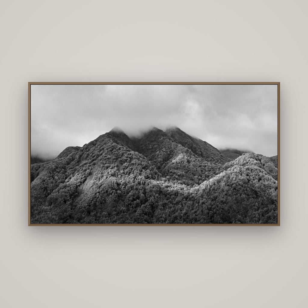 Nature's Embrace, Haast pass, Basel Walnut, 160×90 cm. New Zealand fine art wall art by Stephen Milner.