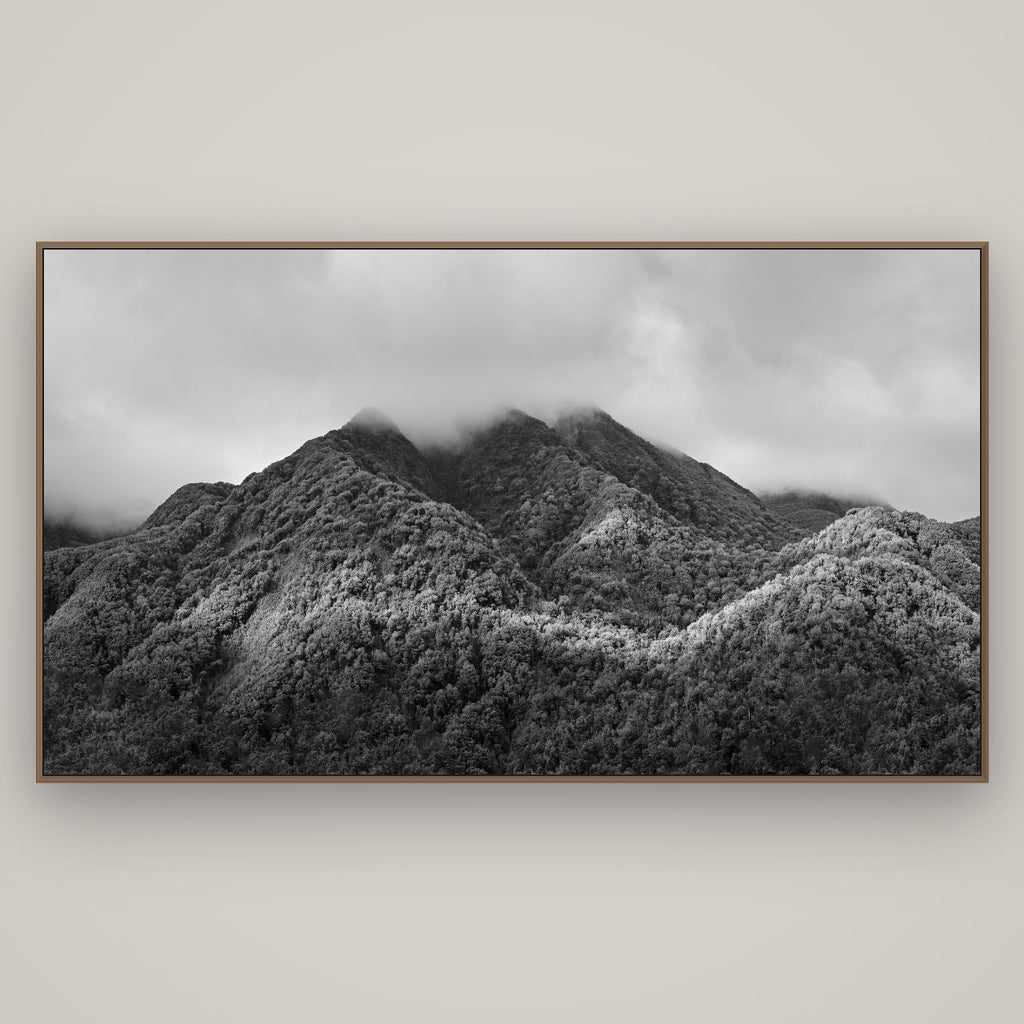 Nature's Embrace, Haast pass, Basel Walnut, 196×110 cm. New Zealand fine art wall art by Stephen Milner.