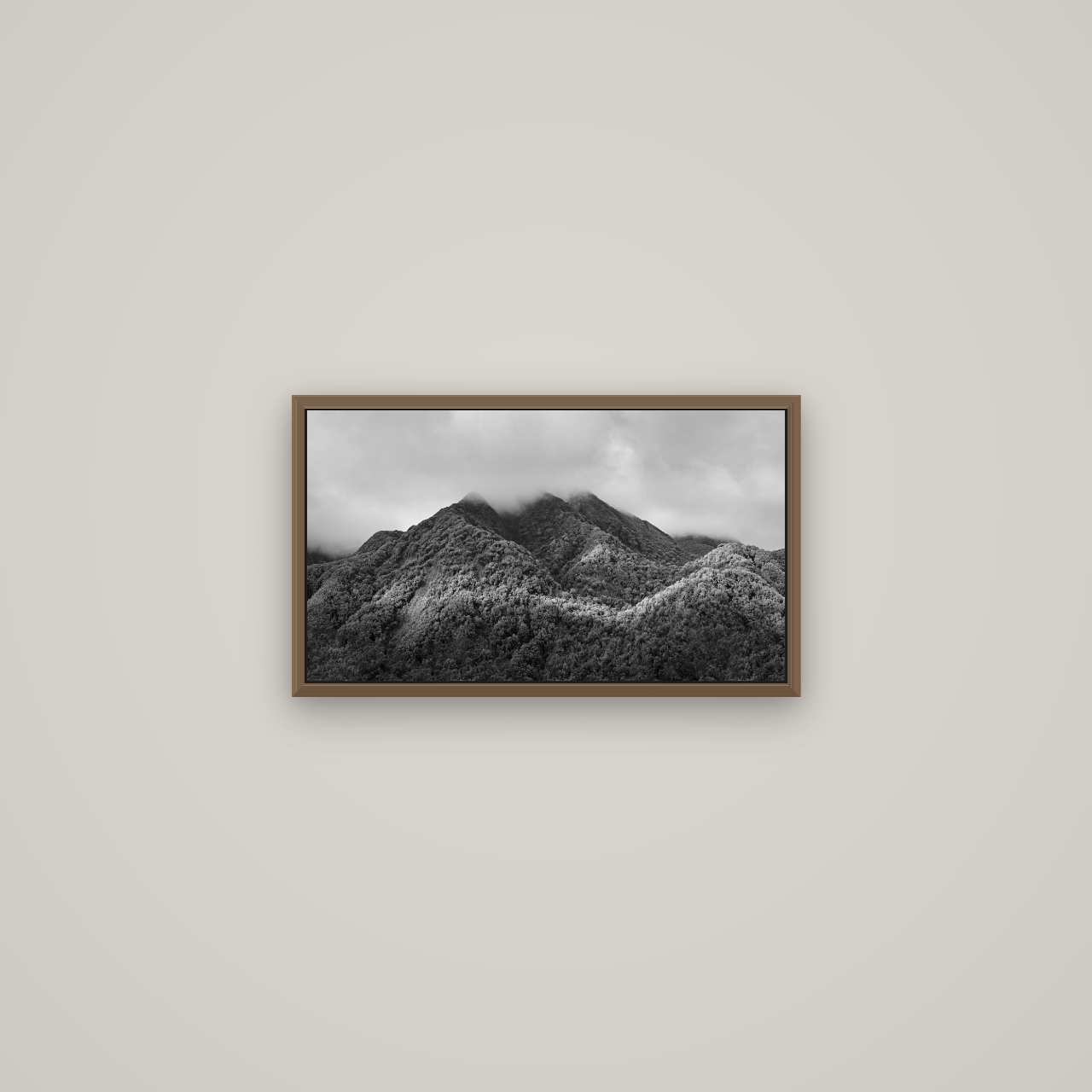 Nature's Embrace, Haast pass, Basel Walnut, 53×30 cm. New Zealand fine art wall art by Stephen Milner.