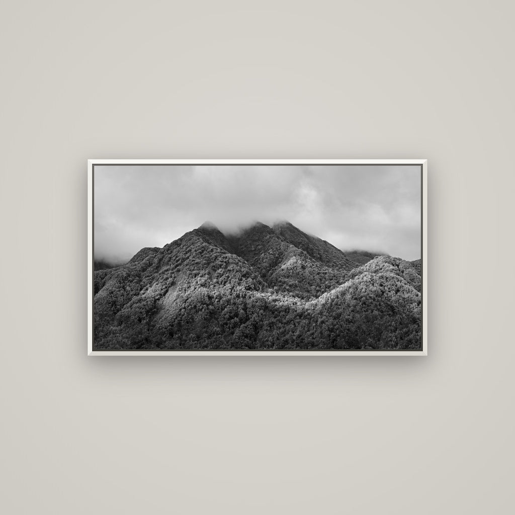 Nature's Embrace, Haast pass — Basel White, 107×60 cm. New Zealand fine art wall art by Stephen Milner.