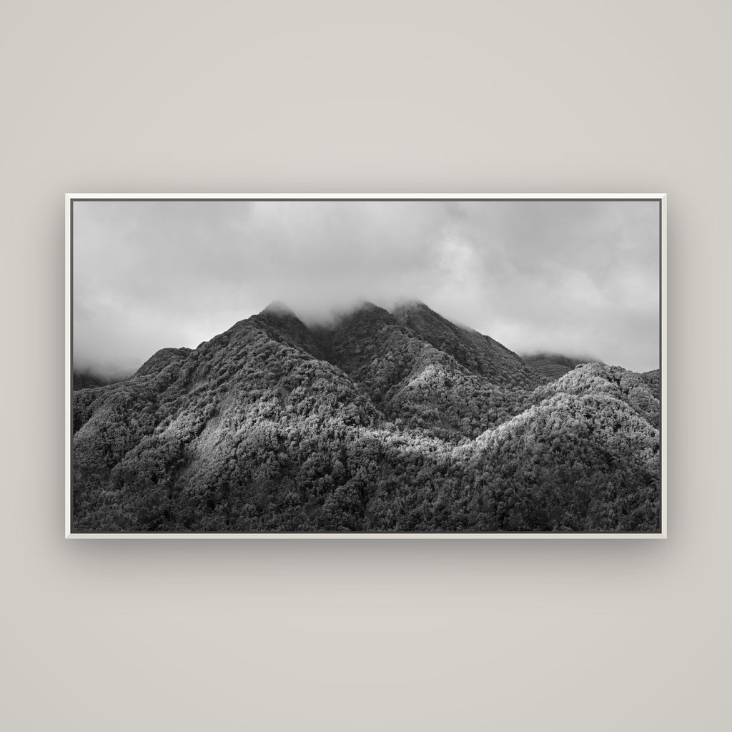 Nature's Embrace, Haast pass — Basel White, 160×90 cm. New Zealand fine art wall art by Stephen Milner.