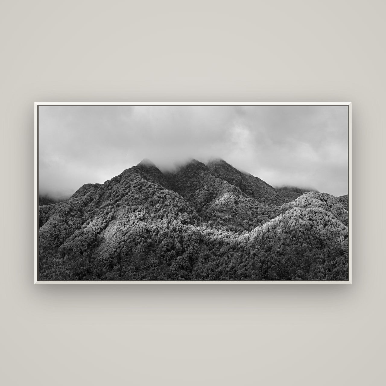 Nature's Embrace, Haast pass — Basel White, 160×90 cm. New Zealand fine art wall art by Stephen Milner.