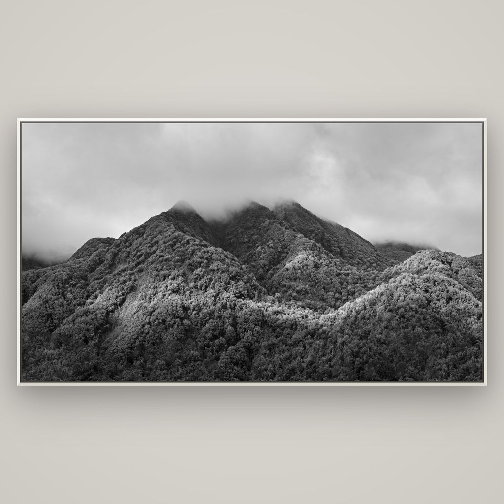 Nature's Embrace, Haast pass — Basel White, 196×110 cm. New Zealand fine art wall art by Stephen Milner.