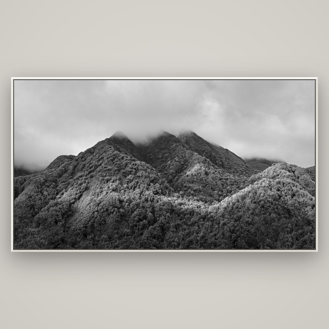Nature's Embrace, Haast pass — Basel White, 196×110 cm. New Zealand fine art wall art by Stephen Milner.