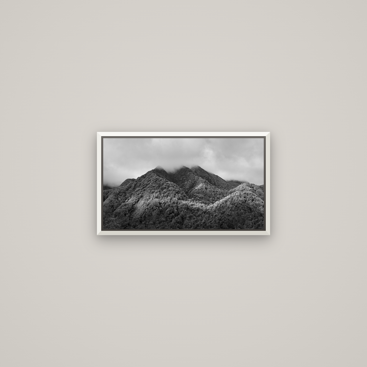 Nature's Embrace, Haast pass — Basel White, 53×30 cm. New Zealand fine art wall art by Stephen Milner.