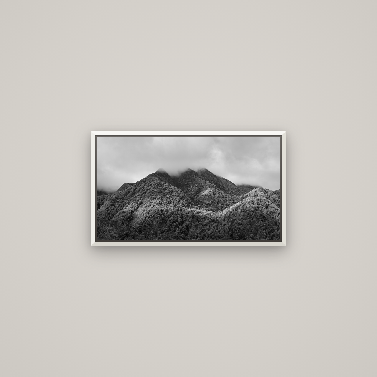 Nature's Embrace, Haast pass — Basel White, 64×36 cm. New Zealand fine art wall art by Stephen Milner.