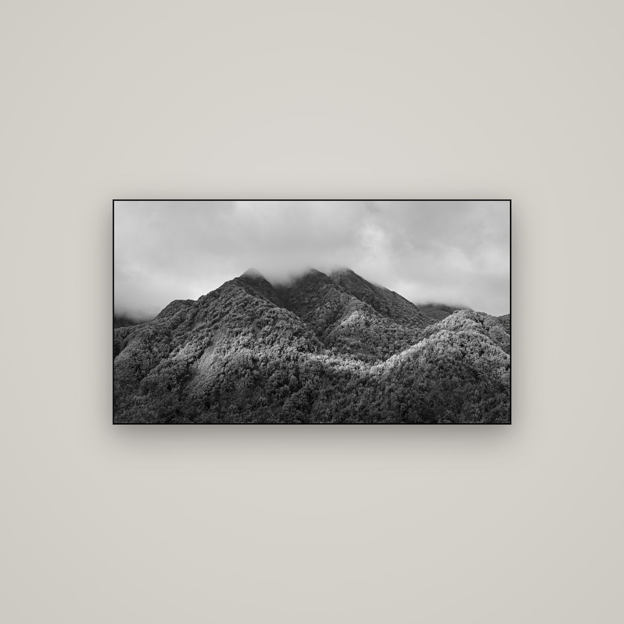 Nature's Embrace, Haast pass — Slimline Black, 107×60 cm. New Zealand fine art wall art by Stephen Milner.