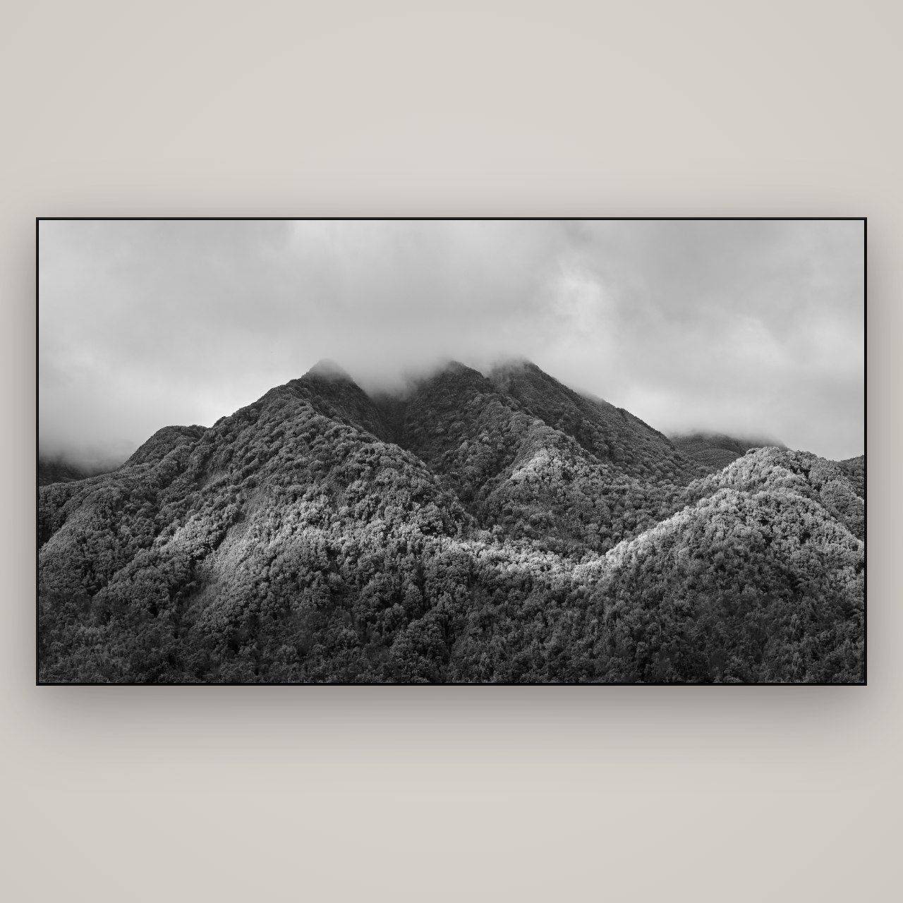 Nature's Embrace, Haast pass — Slimline Black, 196×110 cm. New Zealand fine art wall art by Stephen Milner.