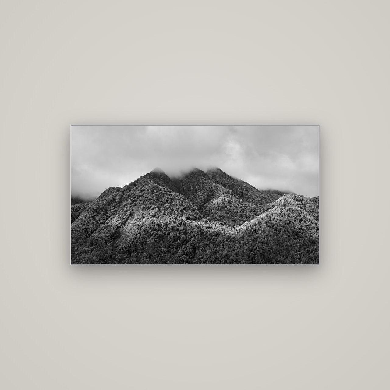 Nature's Embrace, Haast pass — Slimline Silver, 107×60 cm. New Zealand fine art wall art by Stephen Milner.
