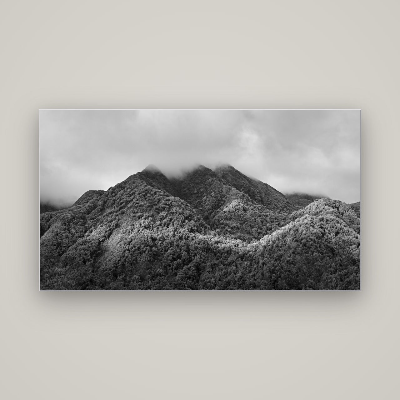Nature's Embrace, Haast pass — Slimline Silver, 160×90 cm. New Zealand fine art wall art by Stephen Milner.