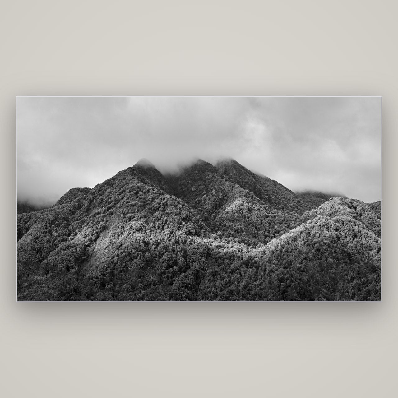 Nature's Embrace, Haast pass — Slimline Silver, 196×110 cm. New Zealand fine art wall art by Stephen Milner.