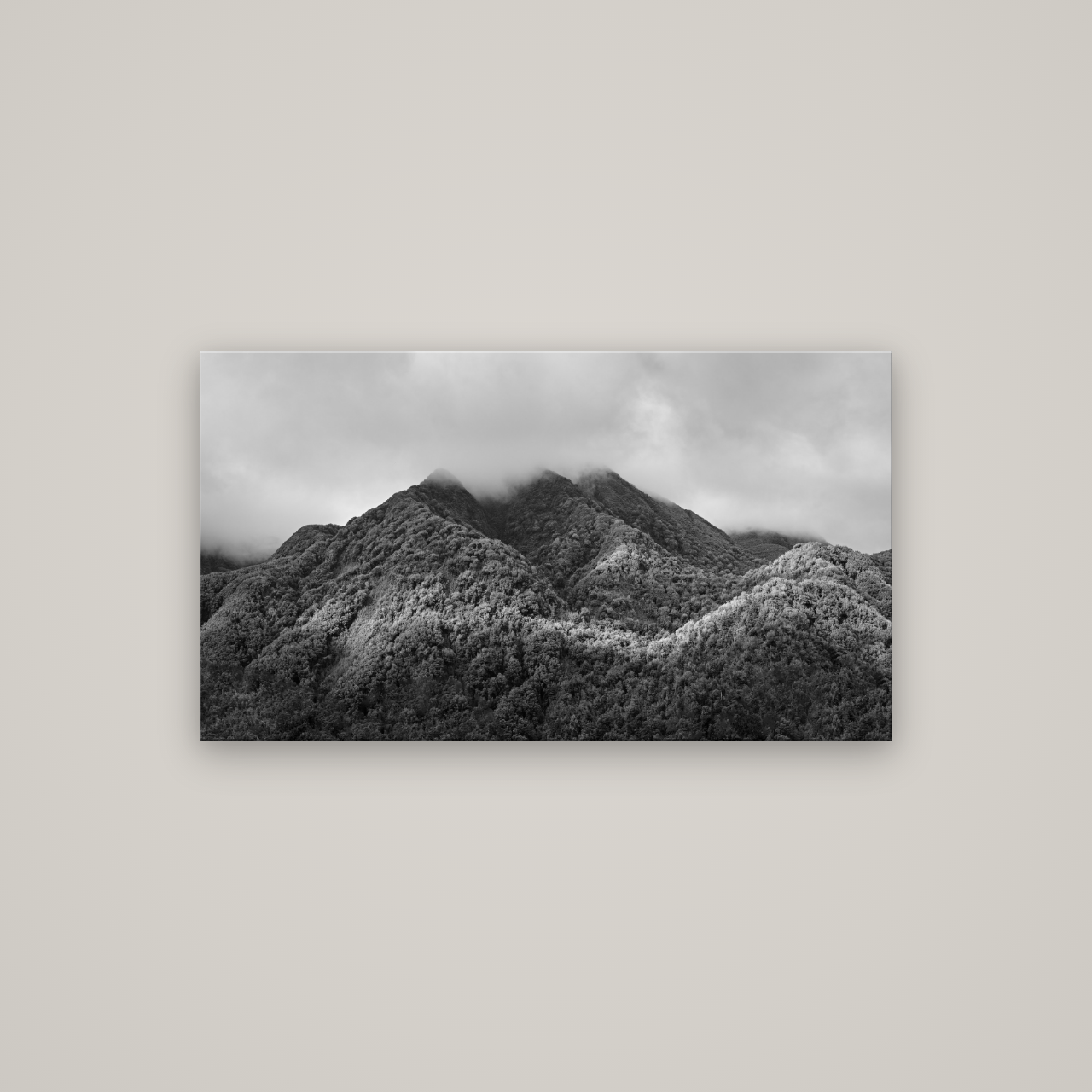 Nature's Embrace, Haast pass — No frame, 107×60 cm. New Zealand fine art wall art by Stephen Milner.