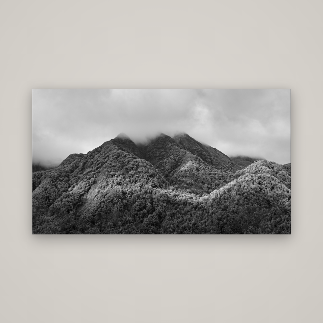 Nature's Embrace, Haast pass — No frame, 160×90 cm. New Zealand fine art wall art by Stephen Milner.