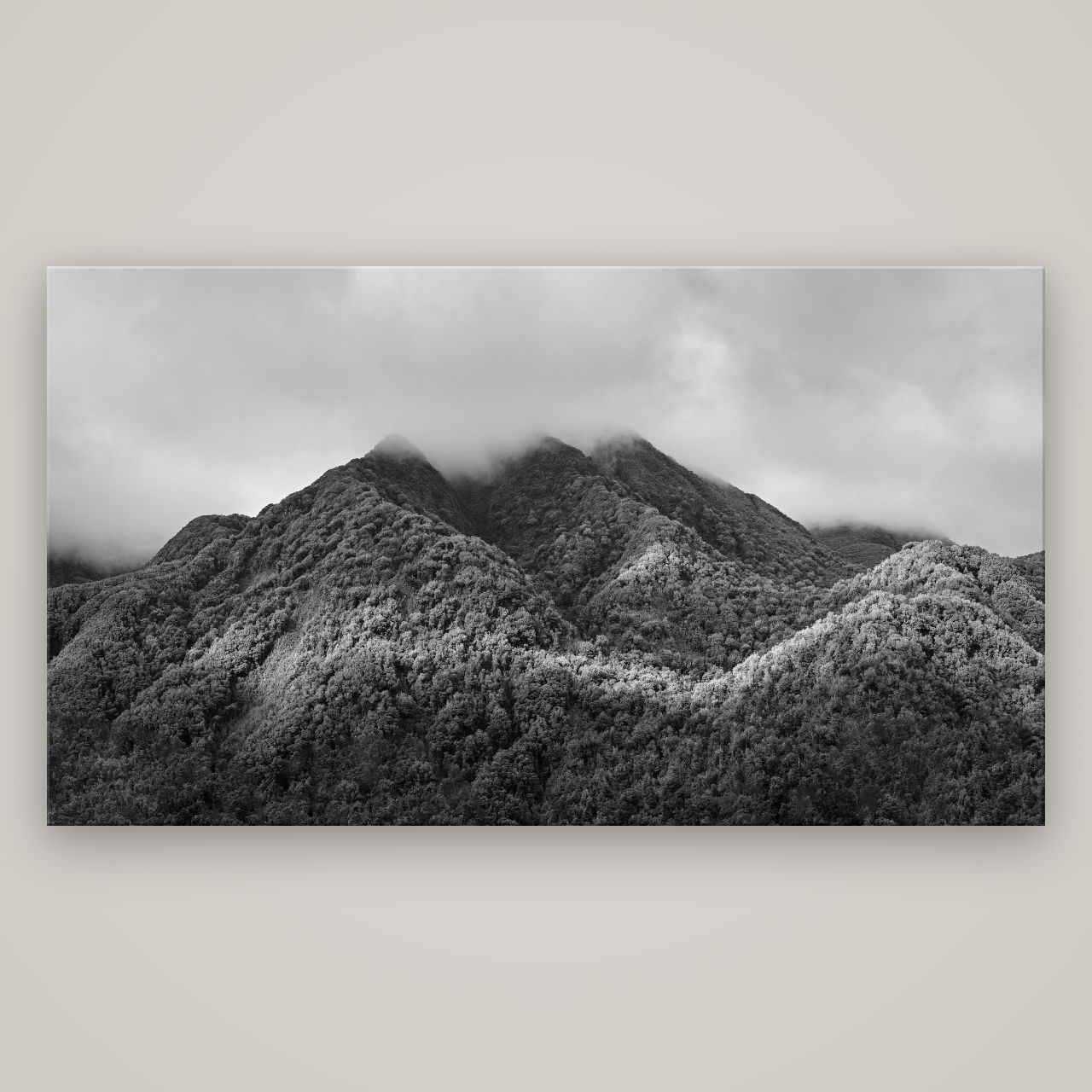 Nature's Embrace, Haast pass — No frame, 196×110 cm. New Zealand fine art wall art by Stephen Milner.