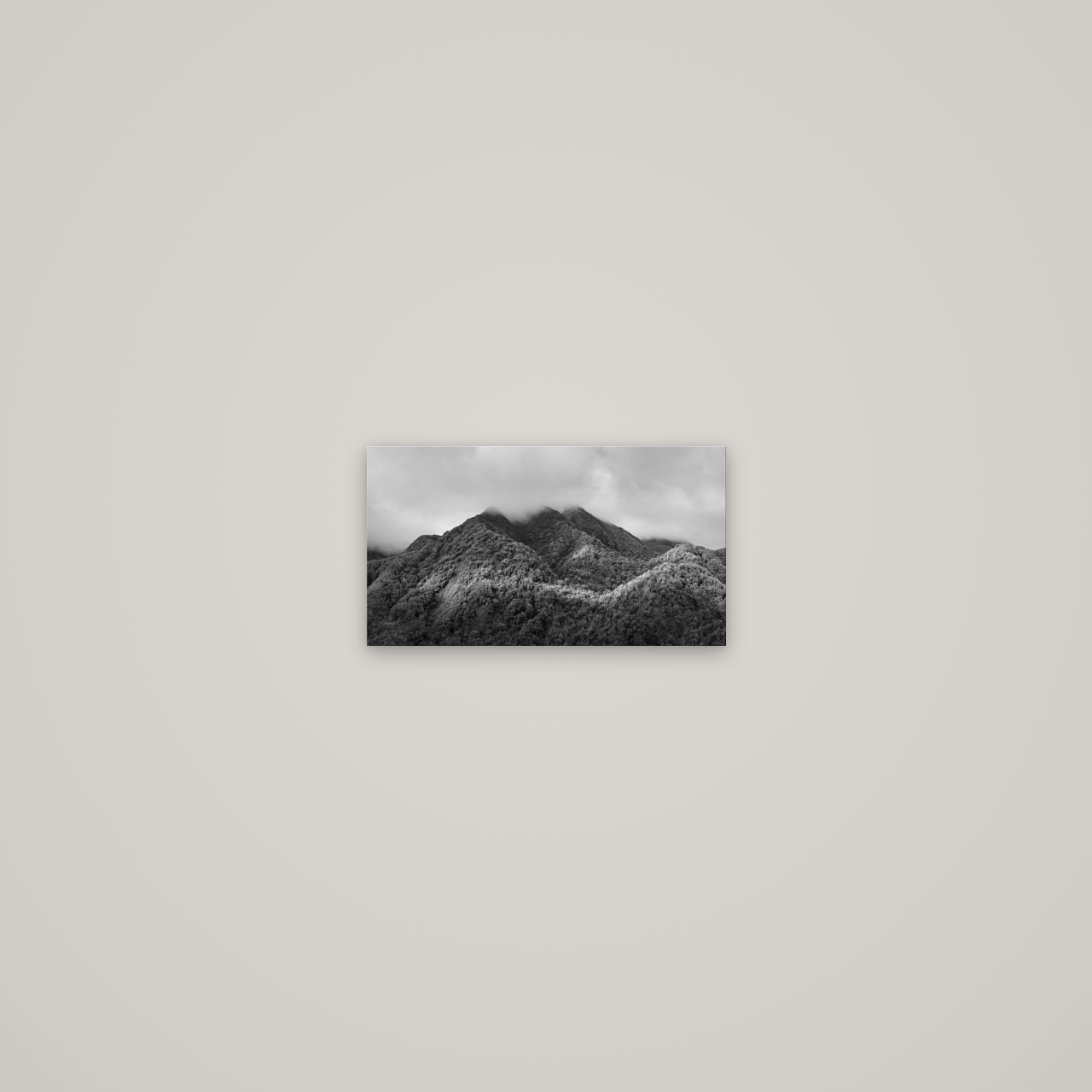 Nature's Embrace, Haast pass — No frame, 27×15 cm. New Zealand fine art wall art by Stephen Milner.
