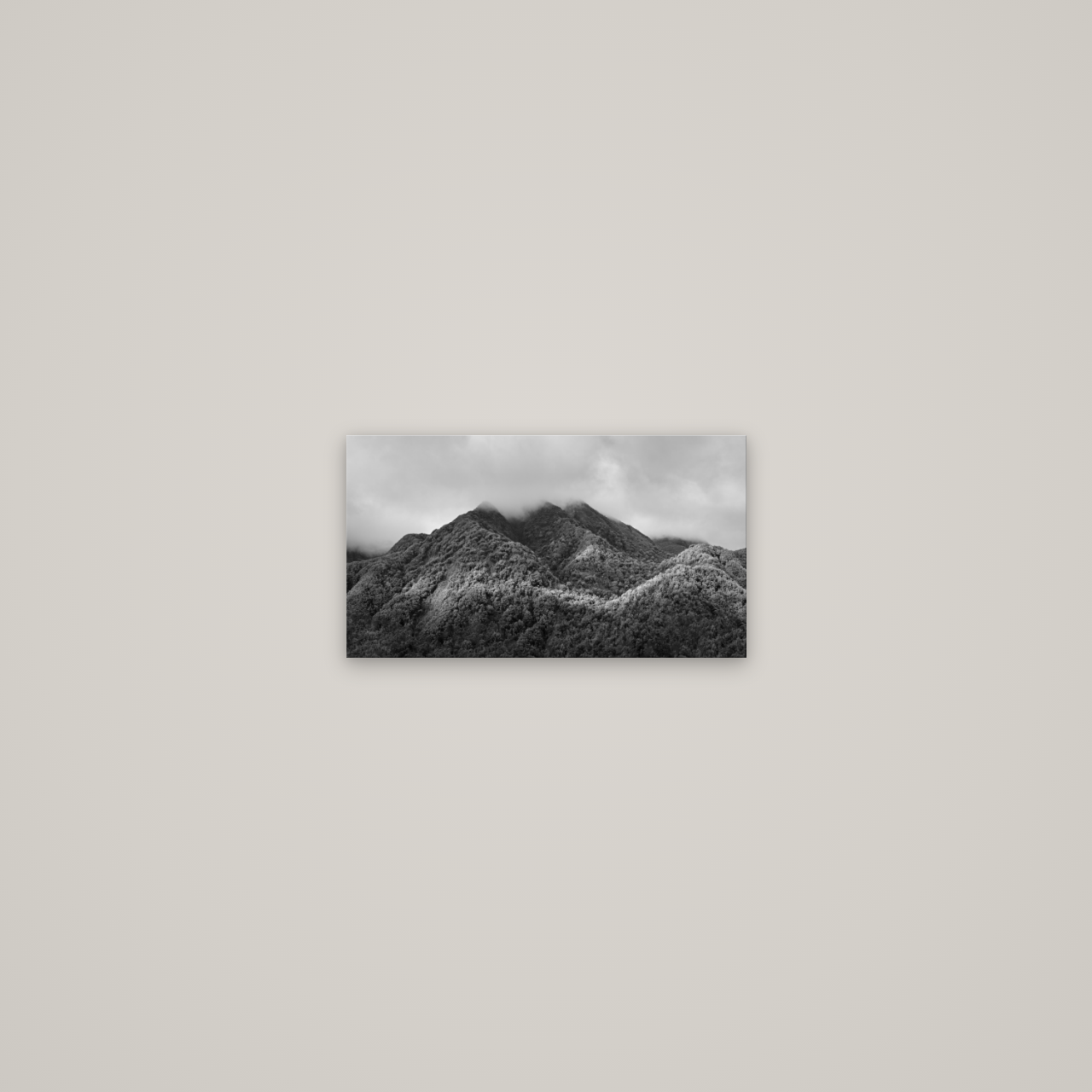 Nature's Embrace, Haast pass — No frame, 36×20 cm. New Zealand fine art wall art by Stephen Milner.