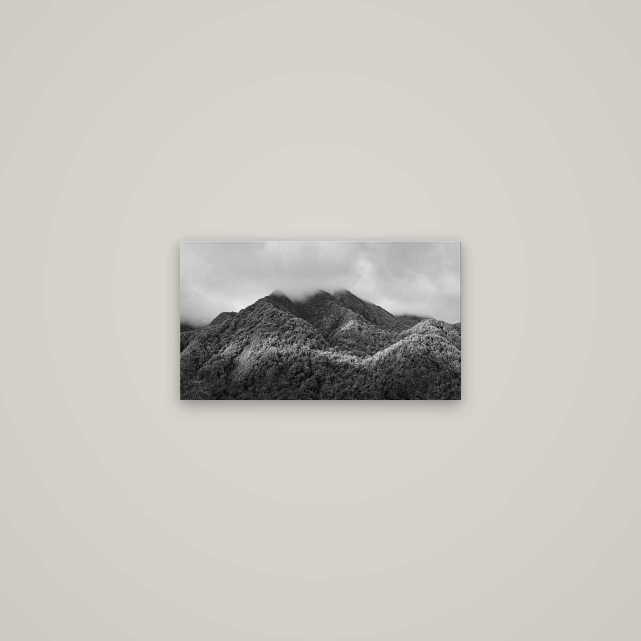 Nature's Embrace, Haast pass — No frame, 53×30 cm. New Zealand fine art wall art by Stephen Milner.