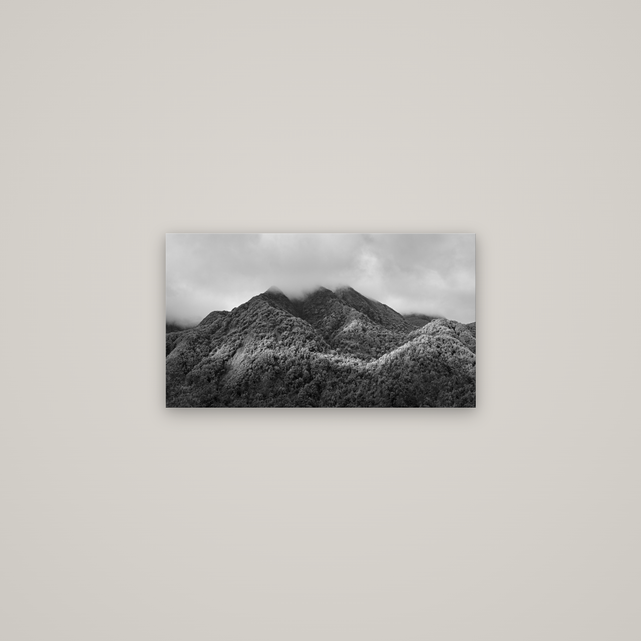 Nature's Embrace, Haast pass — No frame, 64×36 cm. New Zealand fine art wall art by Stephen Milner.