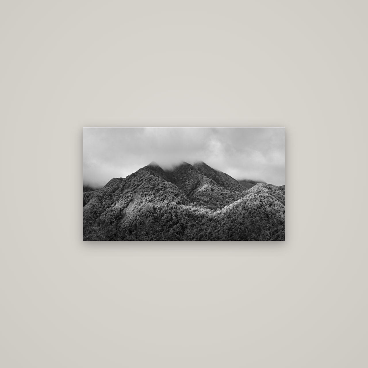 Nature's Embrace, Haast pass — No frame, 80×45 cm. New Zealand fine art wall art by Stephen Milner.