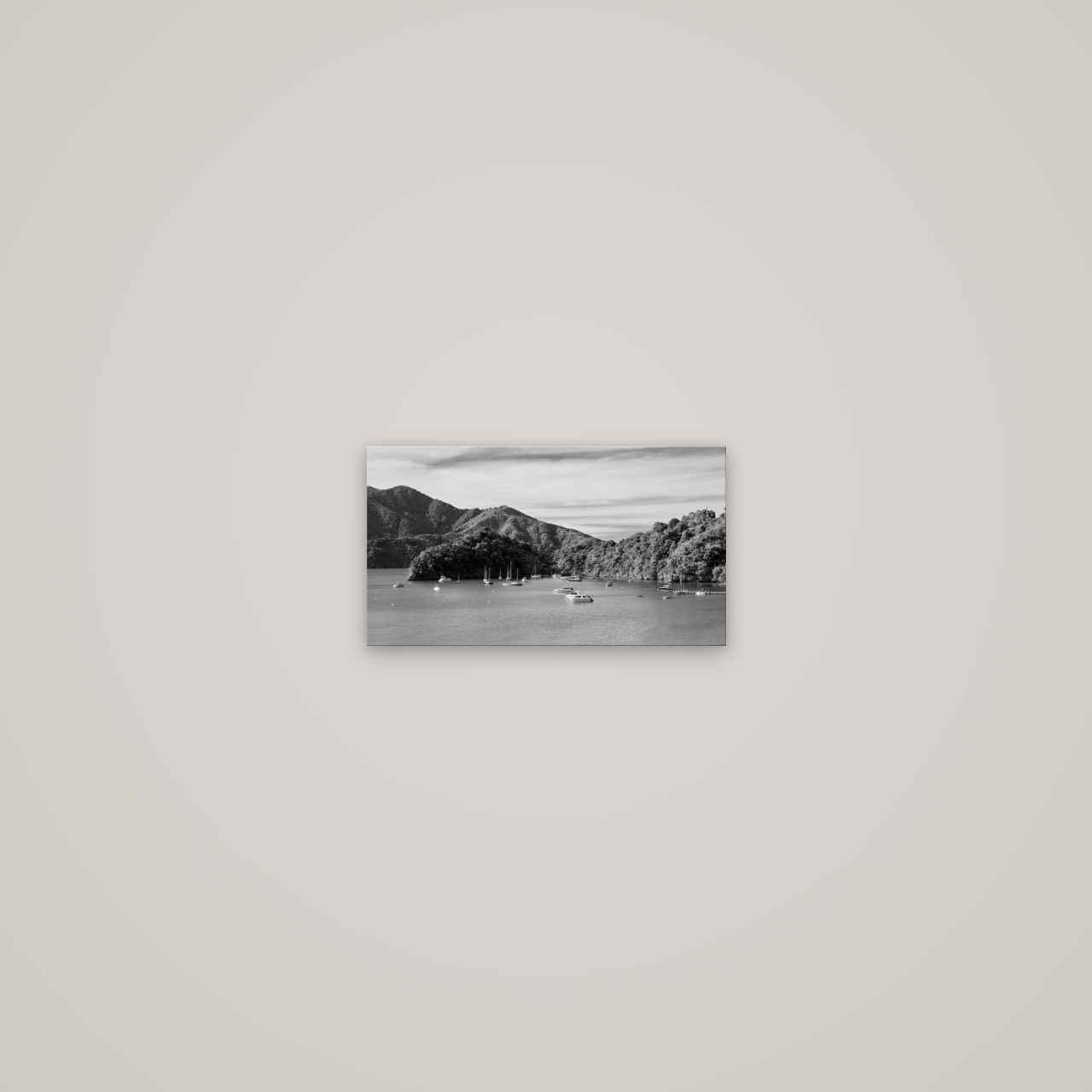 Nature's Harbour, Marlborough Sound — No frame, 27×15 cm. New Zealand fine art wall art by Stephen Milner.