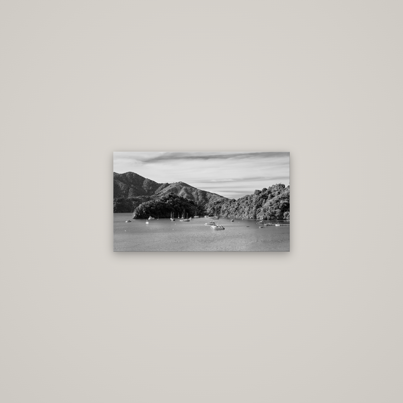 Nature's Harbour, Marlborough Sound — No frame, 53×30 cm. New Zealand fine art wall art by Stephen Milner.