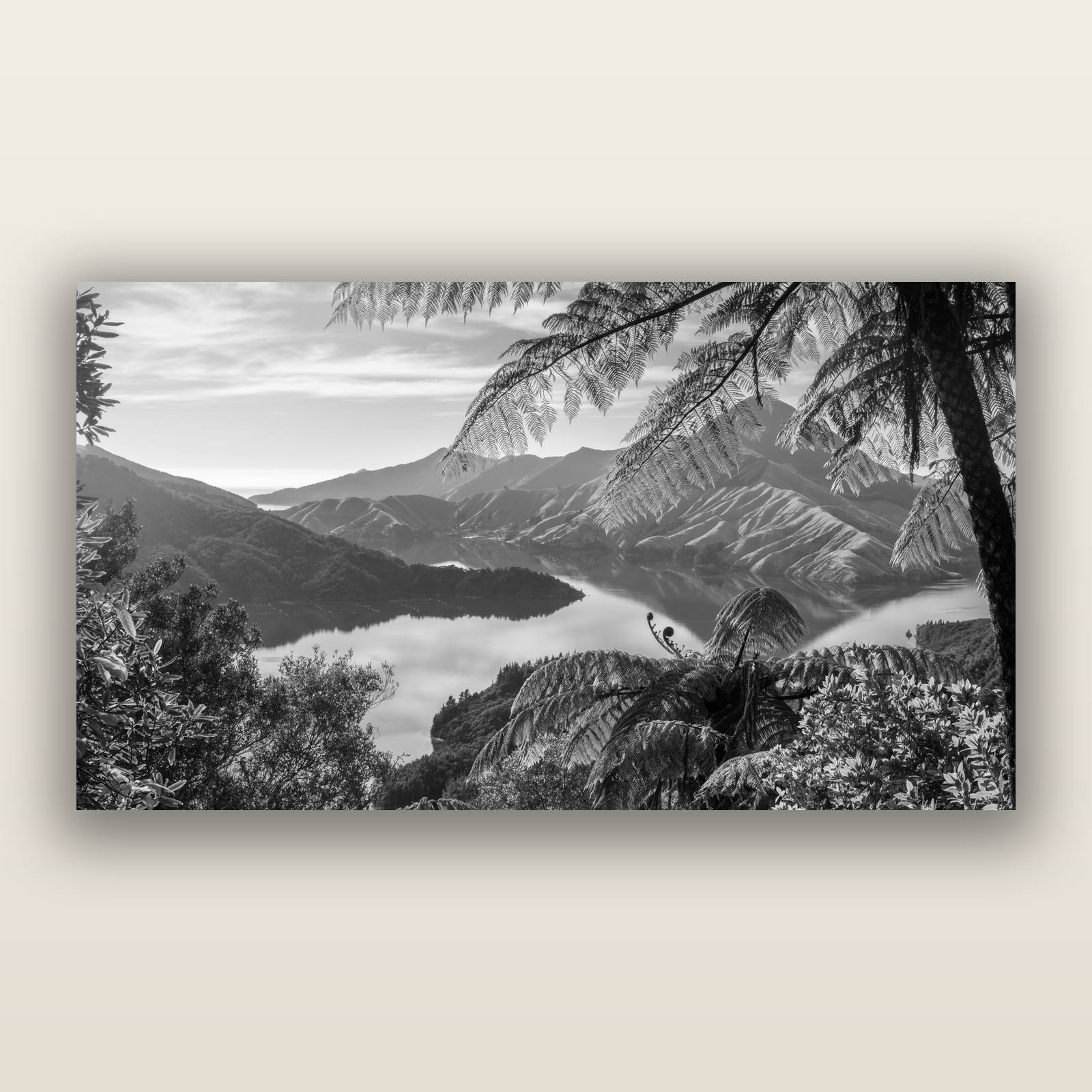 Nature's Window to Devils Staircase, Marlborough Sounds, black and white frameless acrylic glass print. New Zealand fine art photography by Stephen Milner.