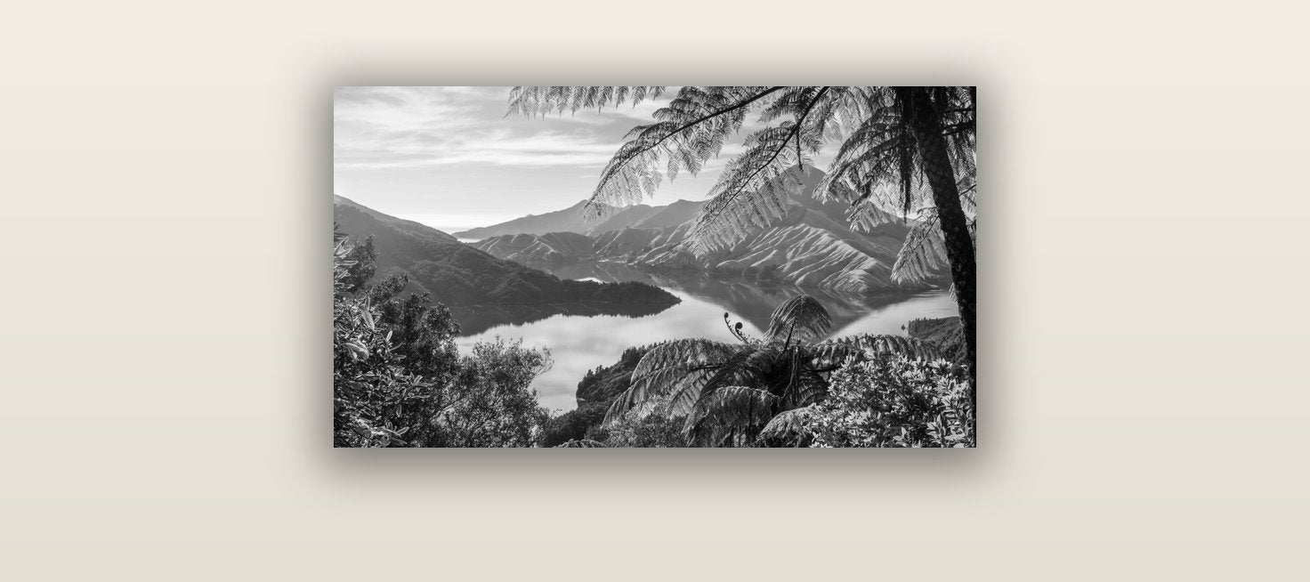 Nature's Window to Devils Staircase, Marlborough Sounds — acrylic glass print, 61 × 30 cm. New Zealand fine art landscape wall art by Stephen Milner.