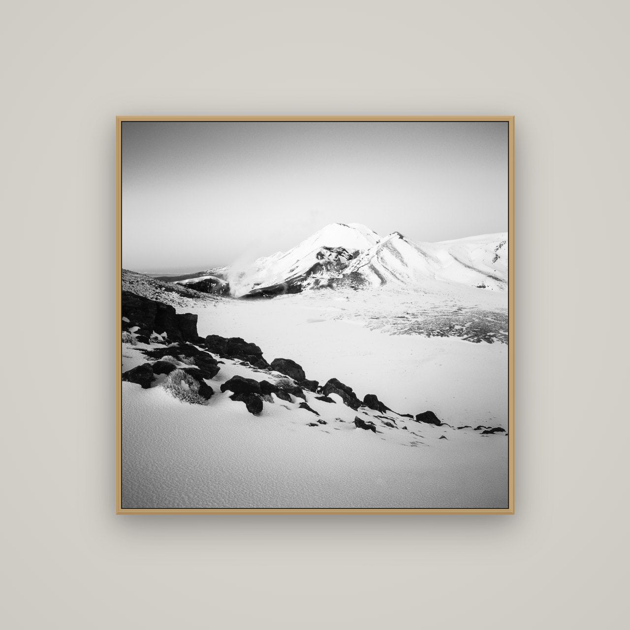 Ngauruhoe's Glow, Tongariro National Park, Basel Natural Oak, 100×100 cm. New Zealand fine art wall art by Stephen Milner.