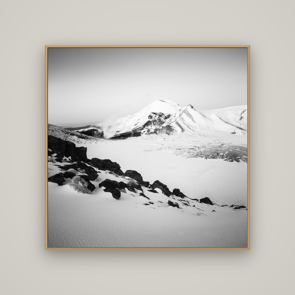 Ngauruhoe's Glow, Tongariro National Park, Basel Natural Oak, 120×120 cm. New Zealand fine art wall art by Stephen Milner.