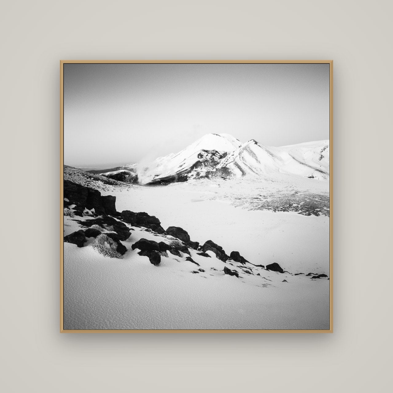 Ngauruhoe's Glow, Tongariro National Park, Basel Natural Oak, 120×120 cm. New Zealand fine art wall art by Stephen Milner.